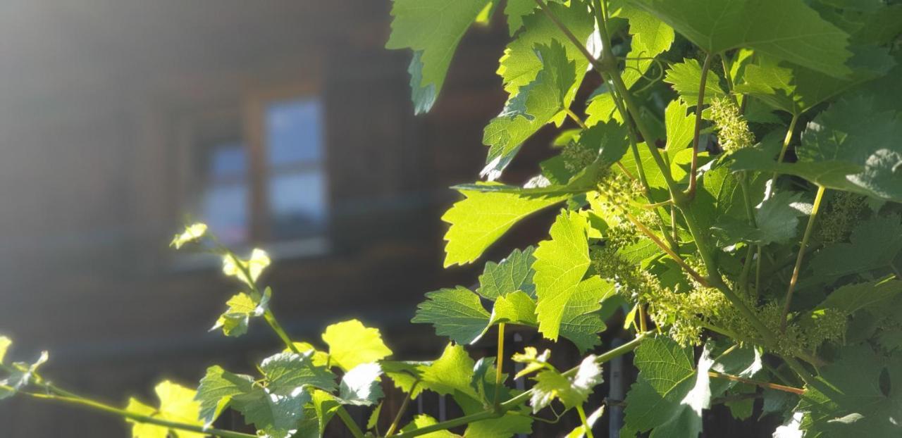 Ferienhaus & Ferienwohnung Winay Wayna Gotschna Blick Klosters Dış mekan fotoğraf
