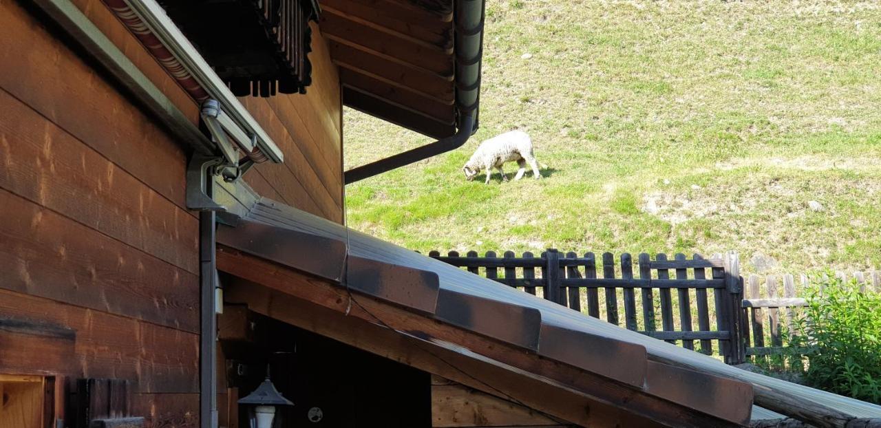Ferienhaus & Ferienwohnung Winay Wayna Gotschna Blick Klosters Dış mekan fotoğraf